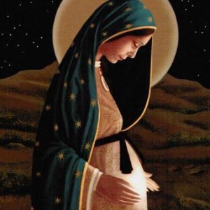 Pregnant BVM