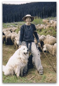 Shepherd, sheepdog, sheep