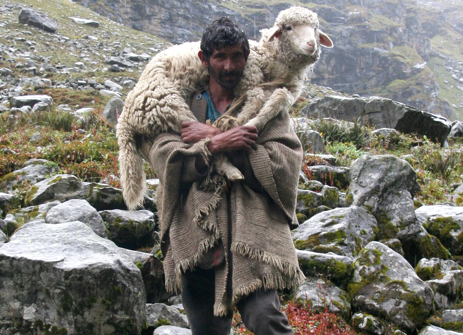 The good shepherd – Fourth Sunday of Easter